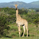 Foto: Jon Mountjoy / Flickr, bajo licencia Creative Commons